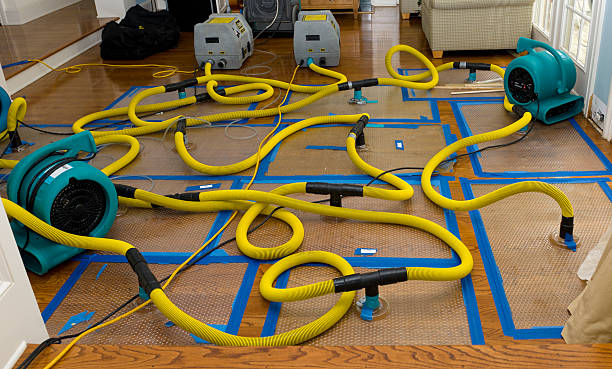 Professional Water Damage Restoration technician working in Seminole, OK